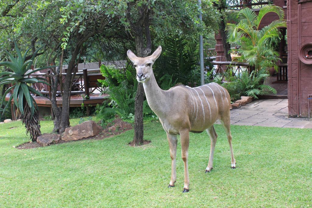 Grand Kruger Lodge And Spa Marloth Park Eksteriør bilde