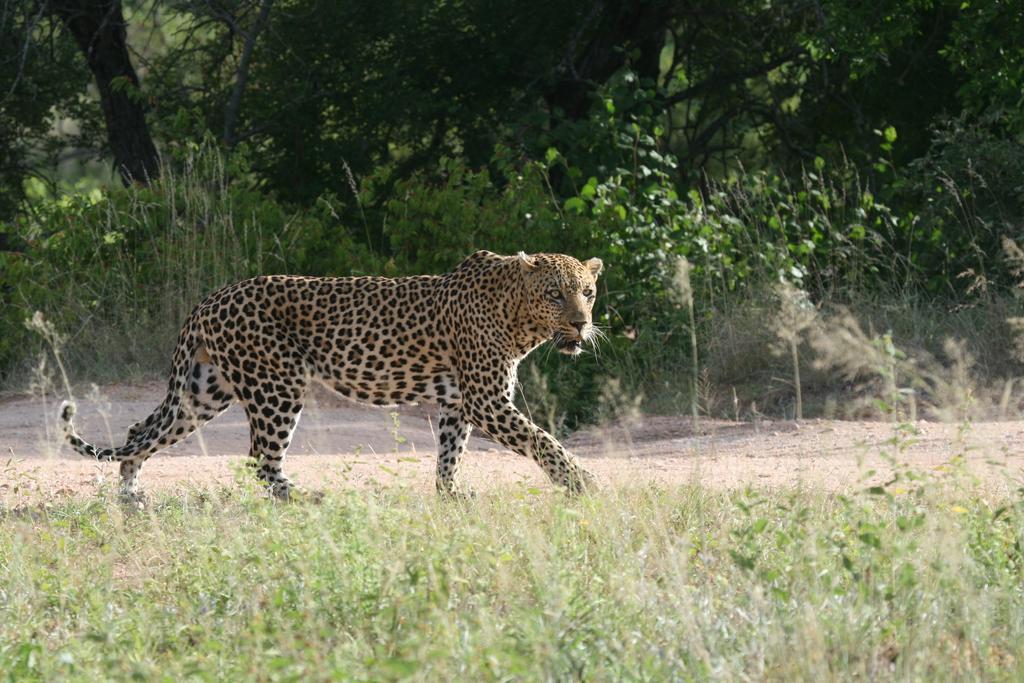 Grand Kruger Lodge And Spa Marloth Park Eksteriør bilde